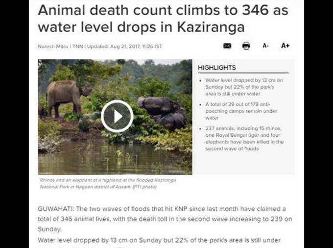No animal died due to floods in assams Kaziranga National Park this year