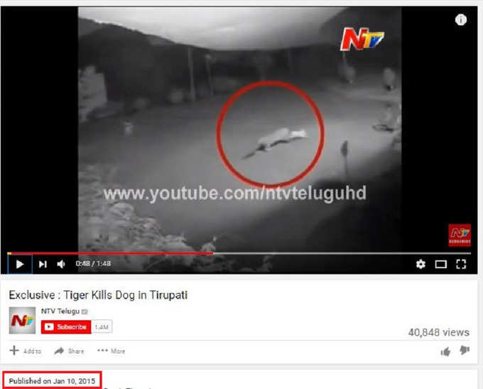 video shared on WhatsApp warning people in Kerala about tiger on the loose is fake