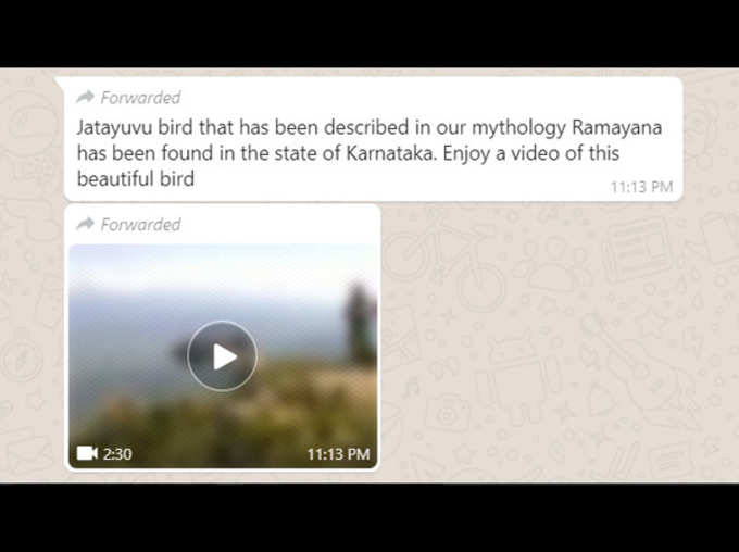 Do not fall for viral video saying Jatayu of ramayana was spotted in Karnataka