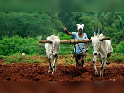 விவசாயிகளுக்கு ஹேப்பி நியூஸ்;                                                       தமிழக அமைச்சர் சூப்பர் தகவல்!