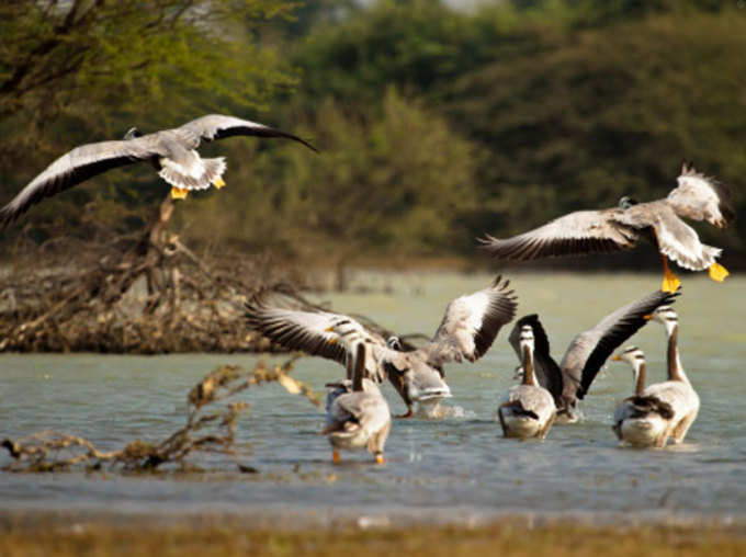 तिरूनलवेली के कूतनकुलम गांव