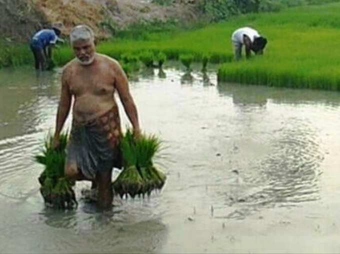 True Farmer: Puducherry Minister Kamlakanan Photo Goes Viral Slap on VIP Culture of Indian Ministers