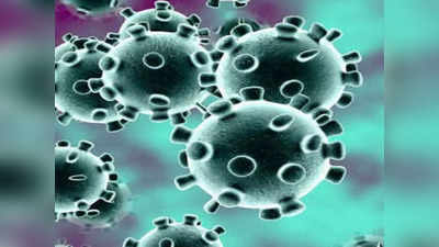 Karnataka News: कर्नाटक में कोरोना वायरस के AY.4.2 वेरिएंट के मामलों की संख्या बढ़कर सात हुई