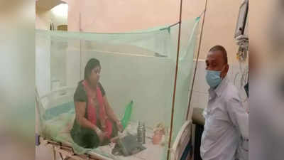 कोरोना थमा तो डेंगू ने डराया, प्रयागराज में एक दिन में सबसे ज्यादा मरीज मिलने का रेकॉर्ड टूटा, दो की मौत