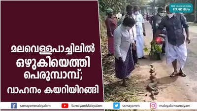 മലവെള്ളപാച്ചിലില്‍ ഒഴുകിയെത്തി പെരുമ്പാമ്പ്; വാഹനം കയറിയിറങ്ങി