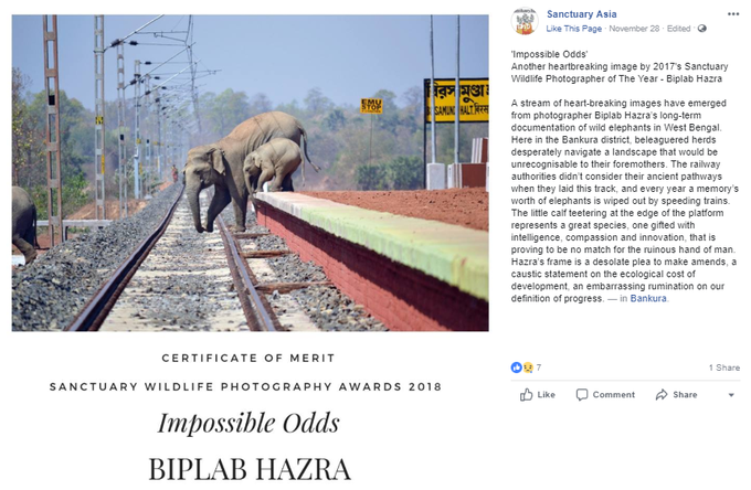 Viral photo of elephants crossing railway track is not fake