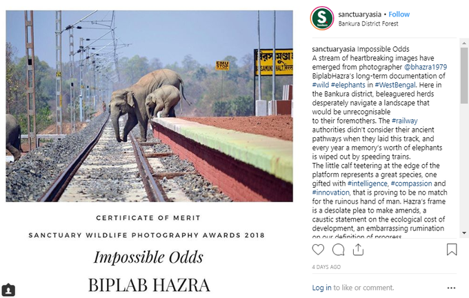Viral photo of elephants crossing railway track is not fake