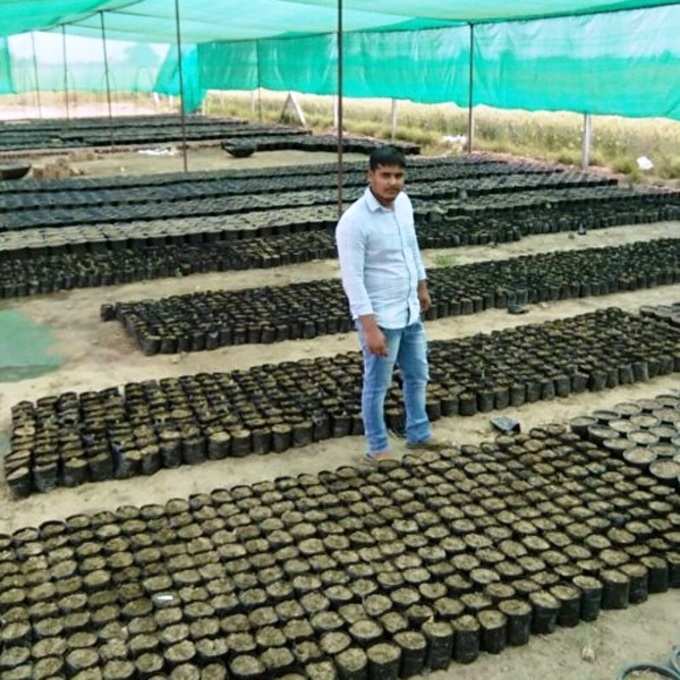 This 21 Year Old Farmer Earns 50 Thousand Per Month With Hydroponic Farming