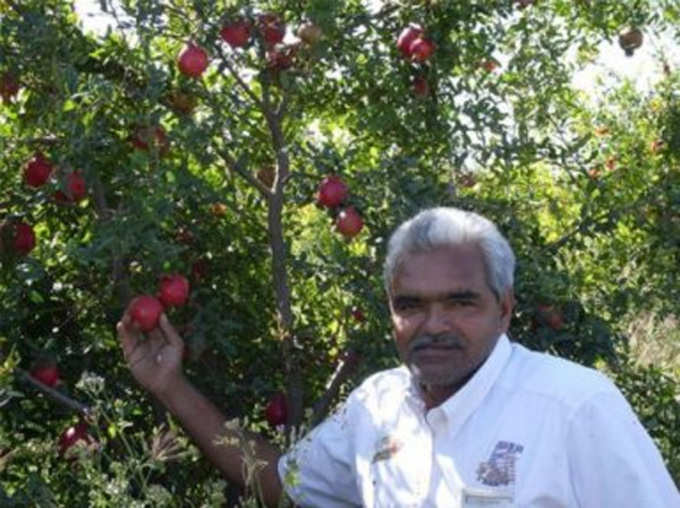 Divyang Padmshri Award Winner Farmer GenaBhai Patel Who Changed The Life of Villegers and Farming Pomegranate Farming