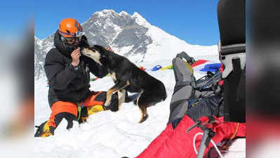ये है वो पहली डॉग जिसने बिना ट्रेनिंग हिमालय पर कर दी चढ़ाई