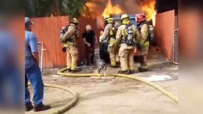 भयंकर आग के बीच कूदा शख्स, बचाई कुत्ते की जान