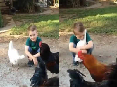 Video: बच्चे ने हेयरकट करवाया तो पहले दोस्त को पहचान नहीं पाई मुर्गी, बाद में जो हुआ दिल को छू लेगा