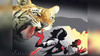 कुशीनगरः शौच करने गई महिला पर बाघ ने किया हमला, मौके पर ही मौत, ग्रामीणों में दहशत
