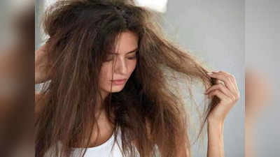 फ्रीजी केसांना ठेवा मॅनेजेबल, वापरा हे Shampoo for frizzy hair