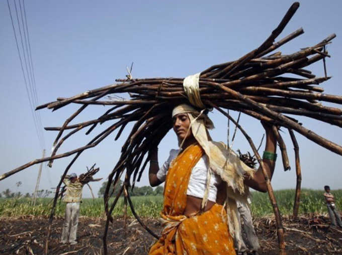Maharashtra’s Beed district Women Are Forced To Remove Wombs To Get Work As Cane Cutters