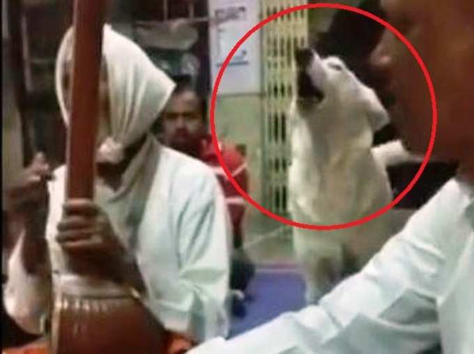 This Stray Dog in Pune Sing Bhajans in Temple Video Goes Vial