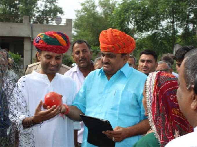 Farmer Santosh Devi Khedar Grow Apples And Pomegranates in Rajasthan, Earn 25 Lakhs Profit Every Year