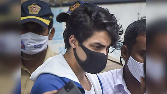 Aryan Khan Bail: आर्यन खानला 'असा' मिळाला जामीन; 'ही' दोन नावं घेत रोहतगी म्हणाले...