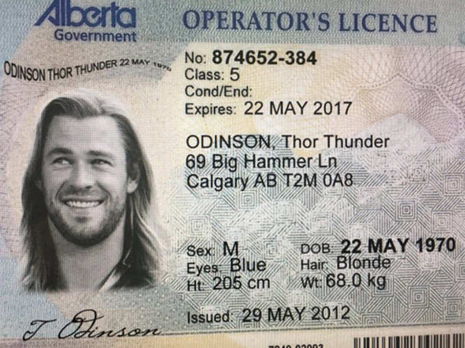 Man Gets Fake ID As Thor Odinson To Buy Weed 