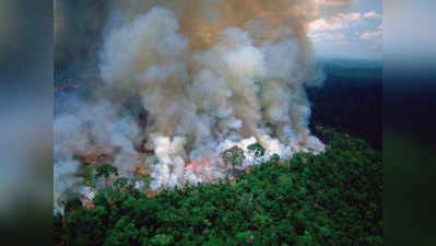 Amazon के जंगलों में लगी आग के कारण अंधूरे में डूबा ब्राजील