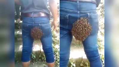 Video: मधुमक्खियों ने वहां बनाया छत्ता, जहां आप सोच भी नहीं सकते!