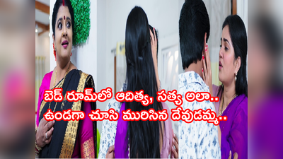 Devatha అక్టోబర్ 29 ఎపిసోడ్: దేవుడమ్మ సంబరం.. సత్య, ఆదిత్య అలా కలవడం చూసి..