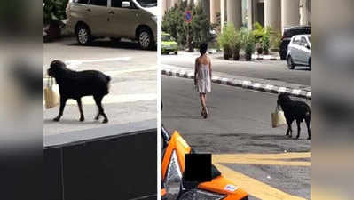 Best Bodyguard: लड़की चली आगे-आगे पीछे पर्स लेकर चला डॉग