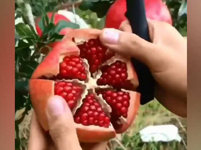 Is Slicing Pomegranate So Easy Hack Video Goes Viral Over 3 Million Views