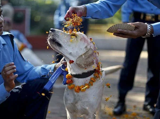 फूलों की माला और तिलक