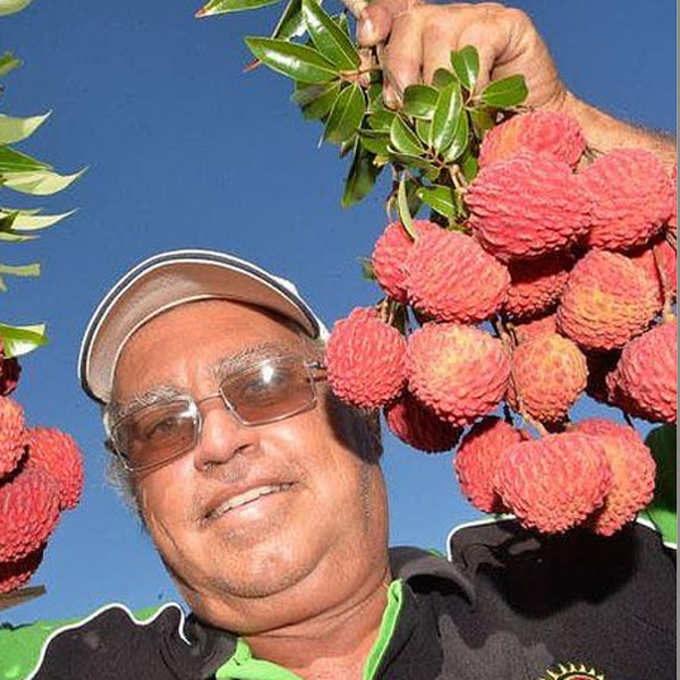 Farmer Grows Seedless Lychees After Trying For Almost 20 Years