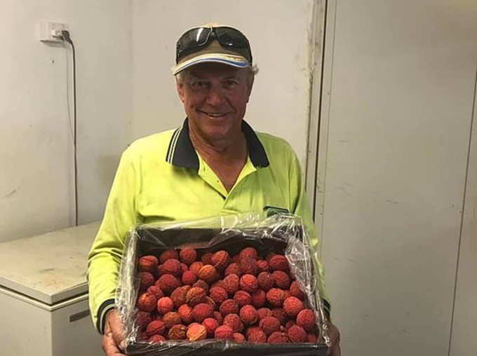 Farmer Grows Seedless Lychees After Trying For Almost 20 Years