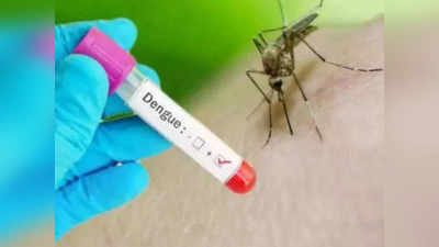 Zika Virus In Agra: आगरा में जीका वायरस अलर्ट, ताजमहल जाने वाले पर्यटकों की होगी स्क्रीनिंग, हेल्पलाइन नंबर जारी