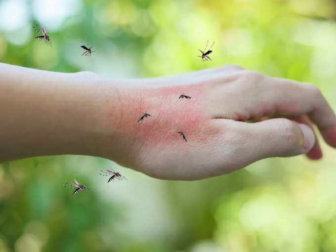 ​स्किन पर डेंगू के मच्छर का असर