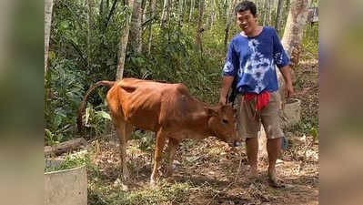 तीन गोलियां मारने के बाद भी जिंदा बची गाय, किसान ने ली गोद