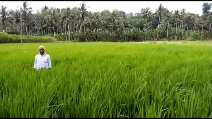 ​കൃഷിയിറക്കാനാകില്ല