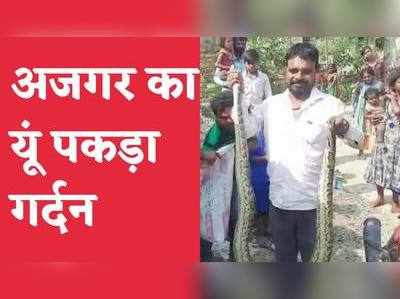 Araria News : अजगर को ऐसे पकड़ा जैसे मछली, आठ फीट लंबा सांप धान की खेत में फरमा रहा था आराम