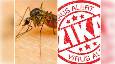 Kanpur News: कानपुर में म‍िले जीका वायरस के 3 और मरीज, संक्रमितों की संख्या हुई 4, स्वास्थ्य विभाग की बढ़ी बेचैनी