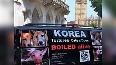 साउथ कोरिया में बिक रहा है कुत्तों का सूप, तस्वीरें दिल दहला देंगी!