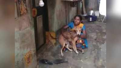 लॉकडाउन में महिला ने खुद खाया एक टाइम खाना, ताकि 13 कुत्ते भूखे ना रहें