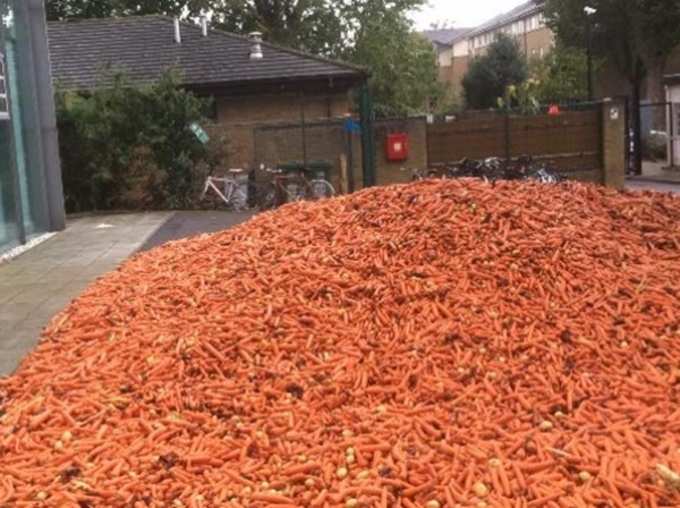 29 टन गाजरें गिराई सड़क पर