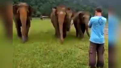 वीडियो: जिसने की थी देखभाल, उसे देखते ही हाथियों ने ऐसे जताया प्यार