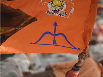 शिवसेनेचे ध्वज दिवाळी अभियान