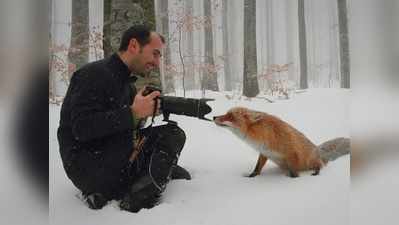खींच मेरी फोटू! जब जंगली जानवर फोटोग्राफर्स के पास आ गए!