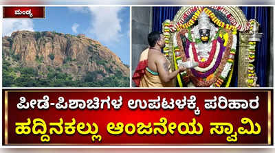 ಪೀಡೆ, ಪಿಶಾಚಿ ಉಪಟಳಕ್ಕೆ ಪರಿಹಾರ ಮಂಡ್ಯದ ಹದ್ದಿನಕಲ್ಲು ಆಂಜನೇಯ ಸ್ವಾಮಿ: ಇಲ್ಲಿಯ ವಾನರಗಳಿಗೆ ಮಾಂಸಾಹಾರವೇ ಆಹಾರ