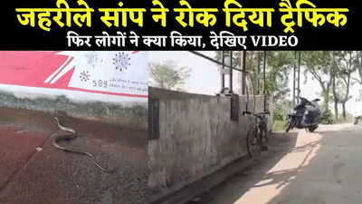 Bihar News : रेलवे अंडरपास में जहरीले सांप को देखकर थम गया ट्रैफिक, देखिए फिर लोगों ने क्या किया