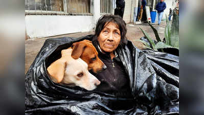 बेघर महिला ने कचरे के बैग को बनाया शेल्टर, नहीं छोड़ना चाहती थी कुत्तों को अकेला