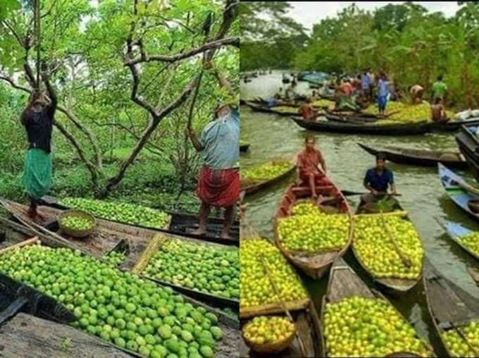 कहां है ये बाजार?