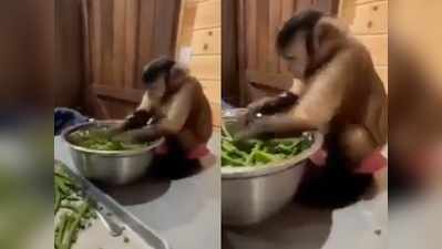 महिला के साथ बंदर ने कटवाई हरी सब्जी, देखने वालों का मुंह खुला का खुला रह गया!