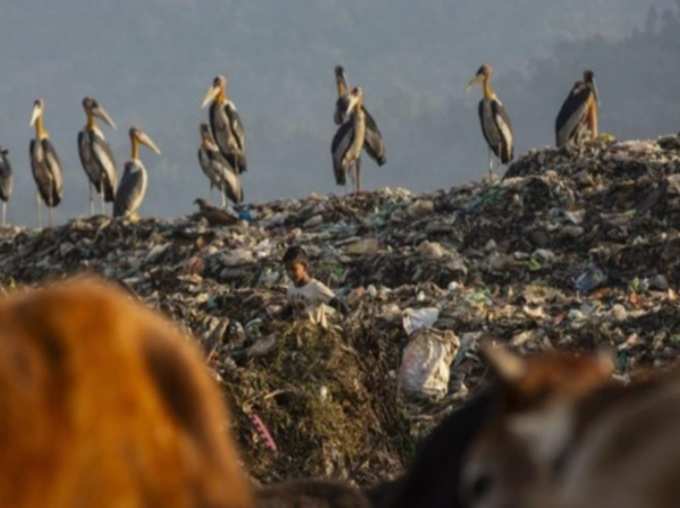 एक साल पहले करने लगे ये काम