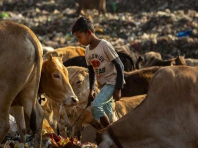 पूरा परिवार करता है ये काम